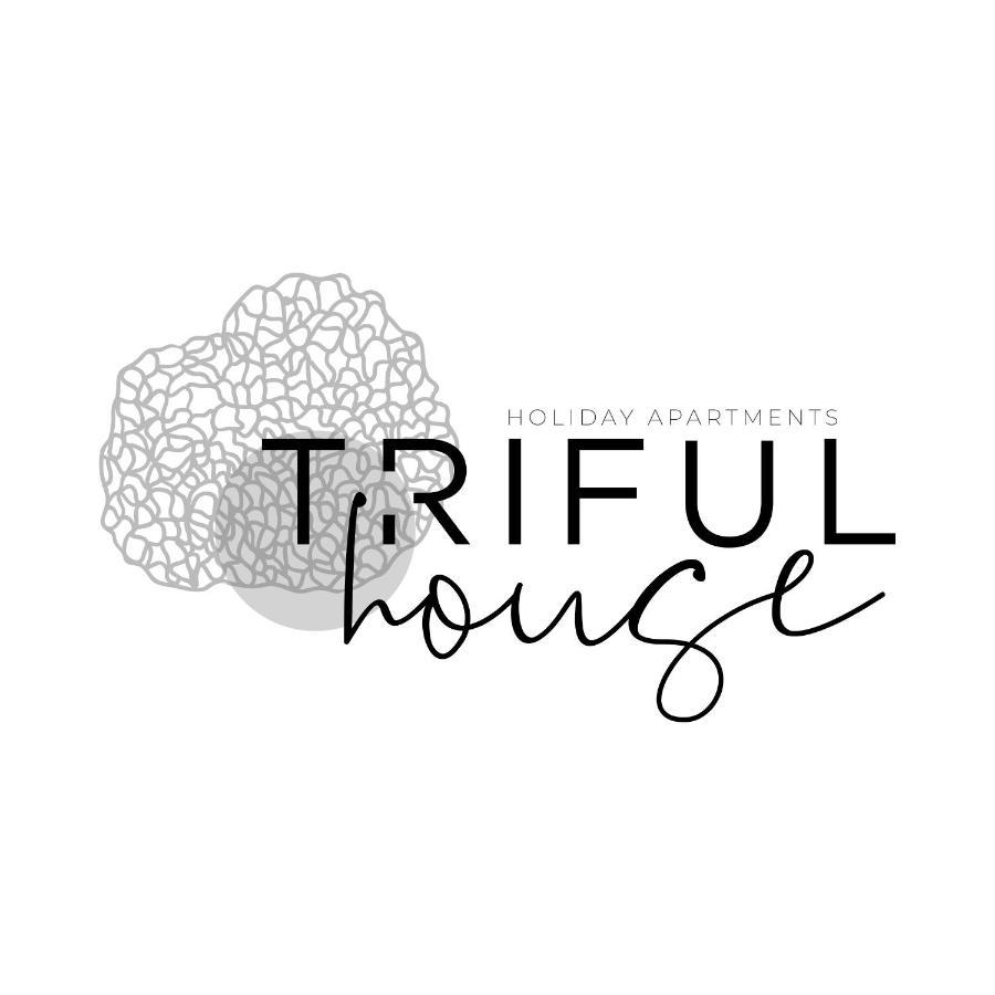 Trifulhouse Holiday Apartments Alba  Exteriér fotografie